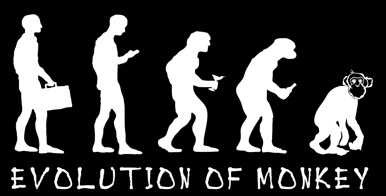 Evolution of monkeys t-shirt.